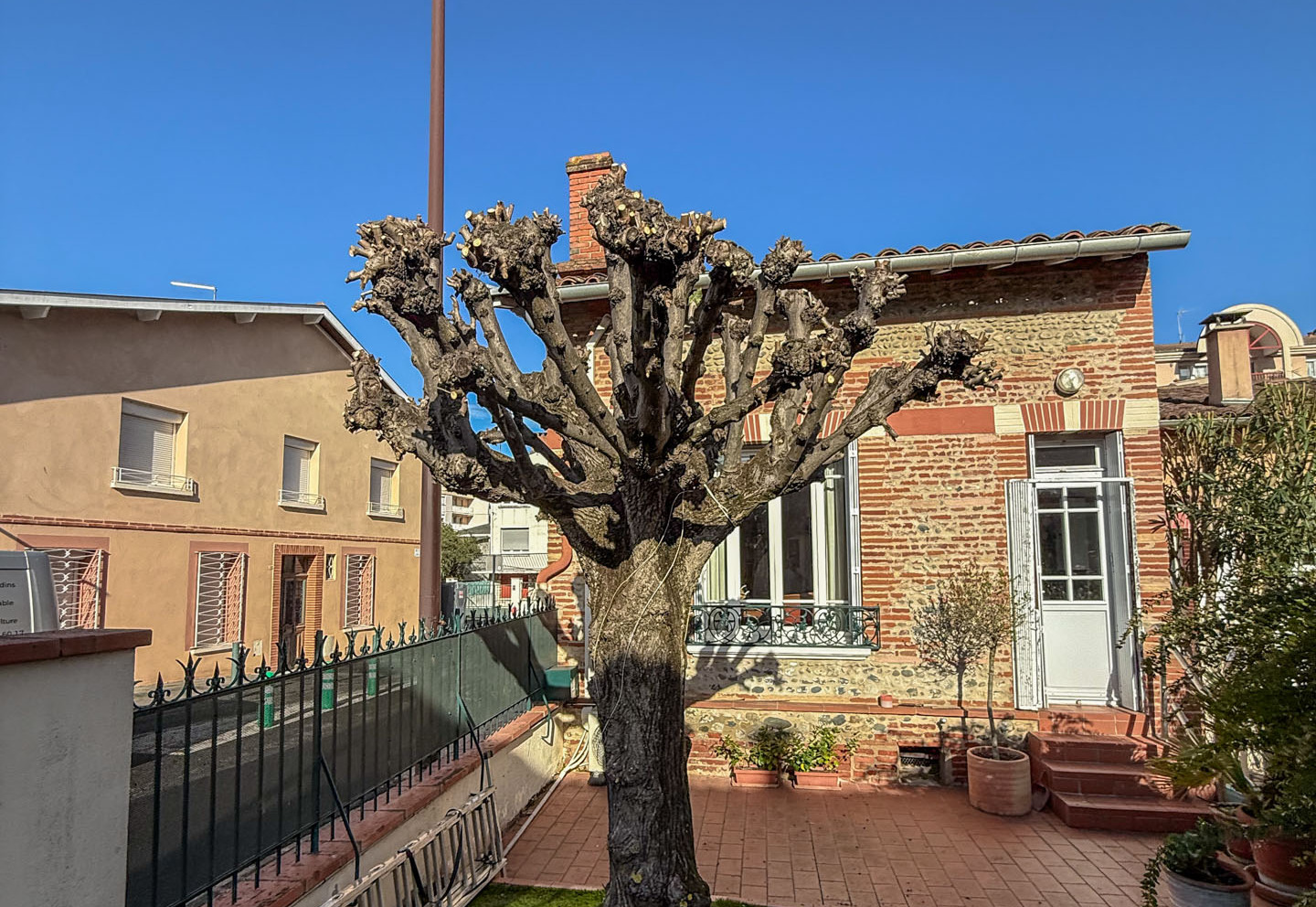 Elagage Sud landes
