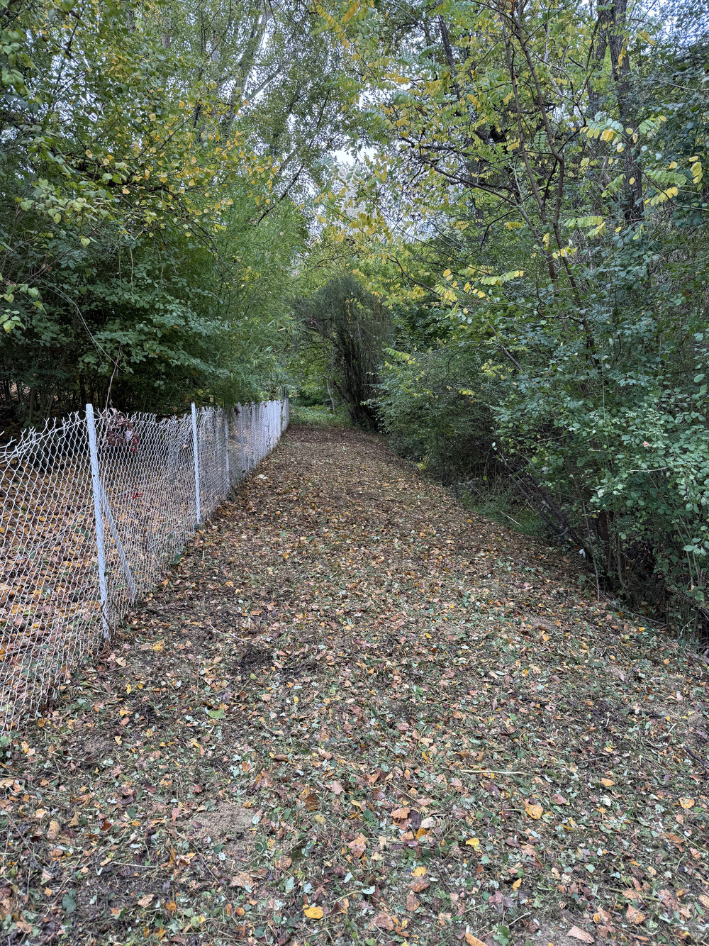 Remise en eÌtat jardin landes apres