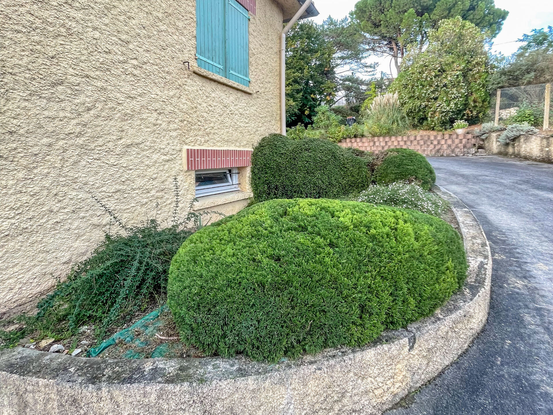 Taille arbuste labenne