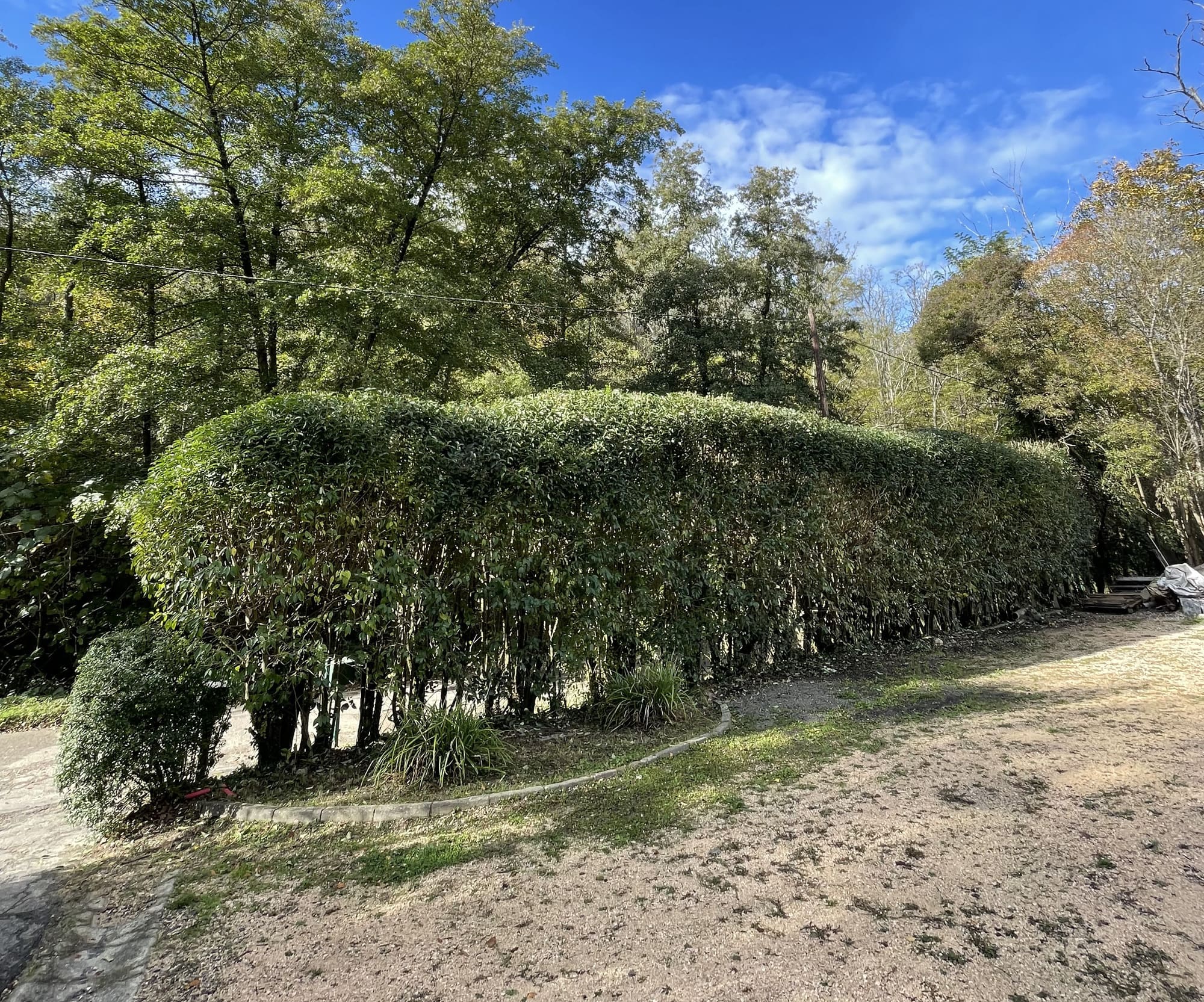Taille de haies sud Landes
