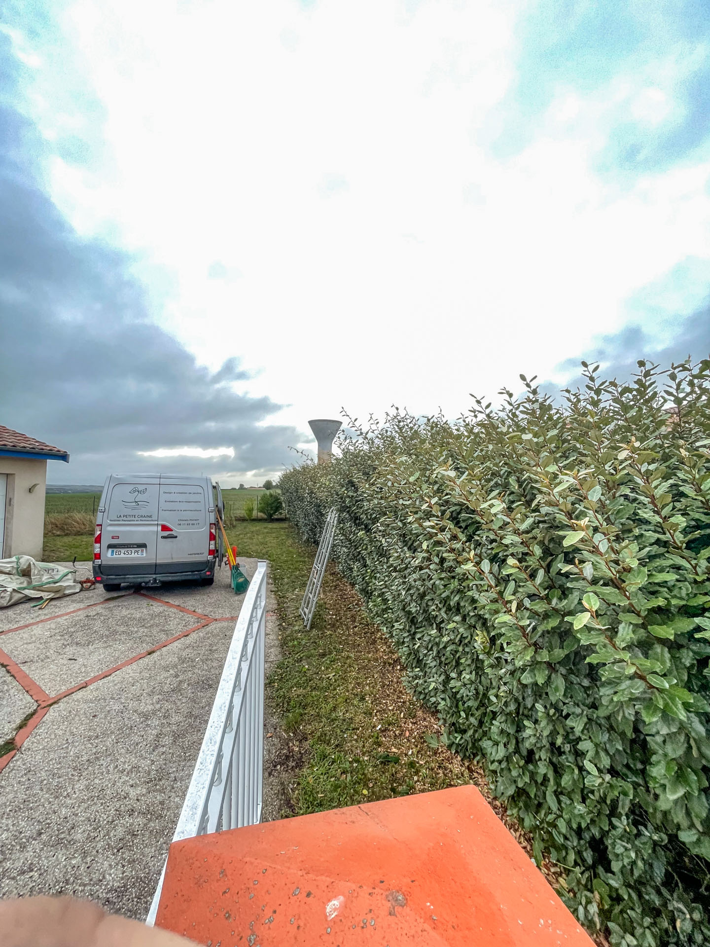 Taille haie sud landes avant
