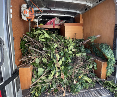 evacuation des dechets verts (1) (1)