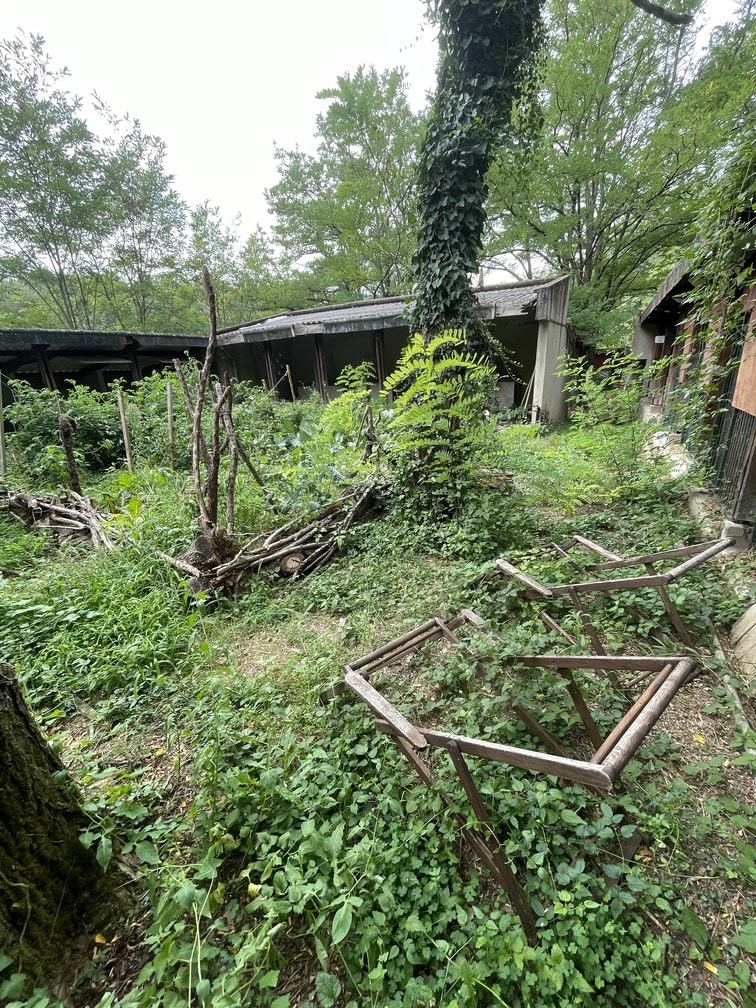 remise en etat jardin landes avant