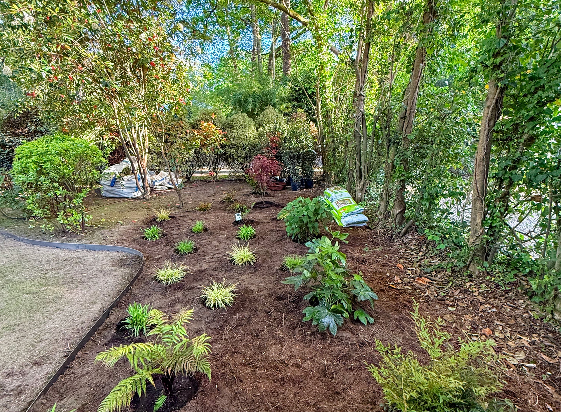 Création jardin Hossegor