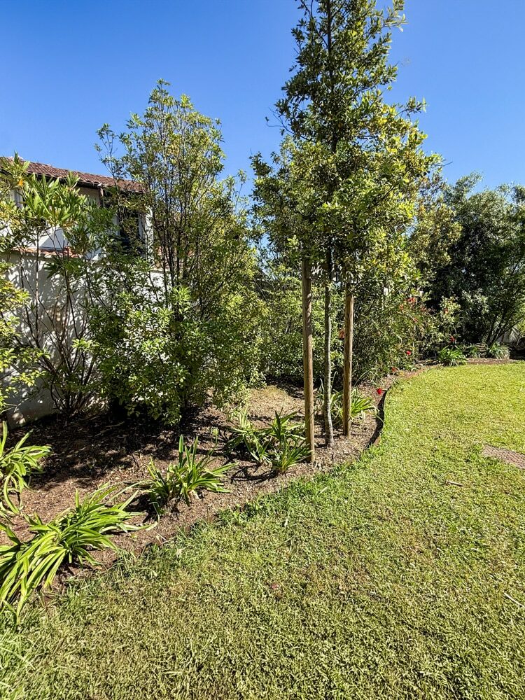 entretien jardin tarnos apres