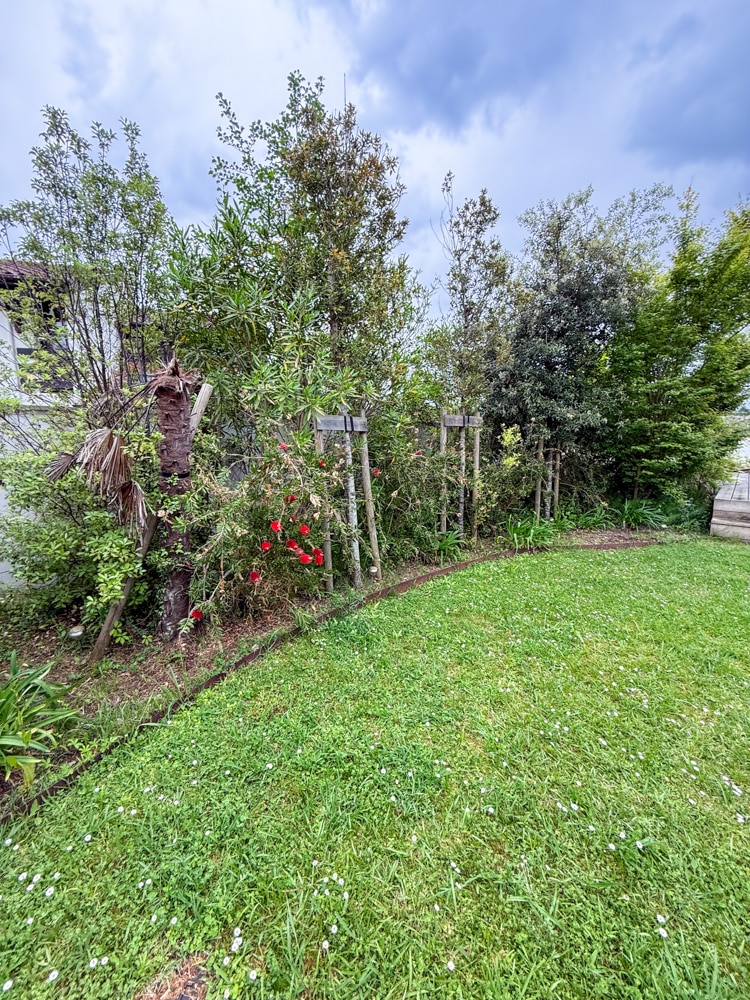 entretien jardin tarnos avant