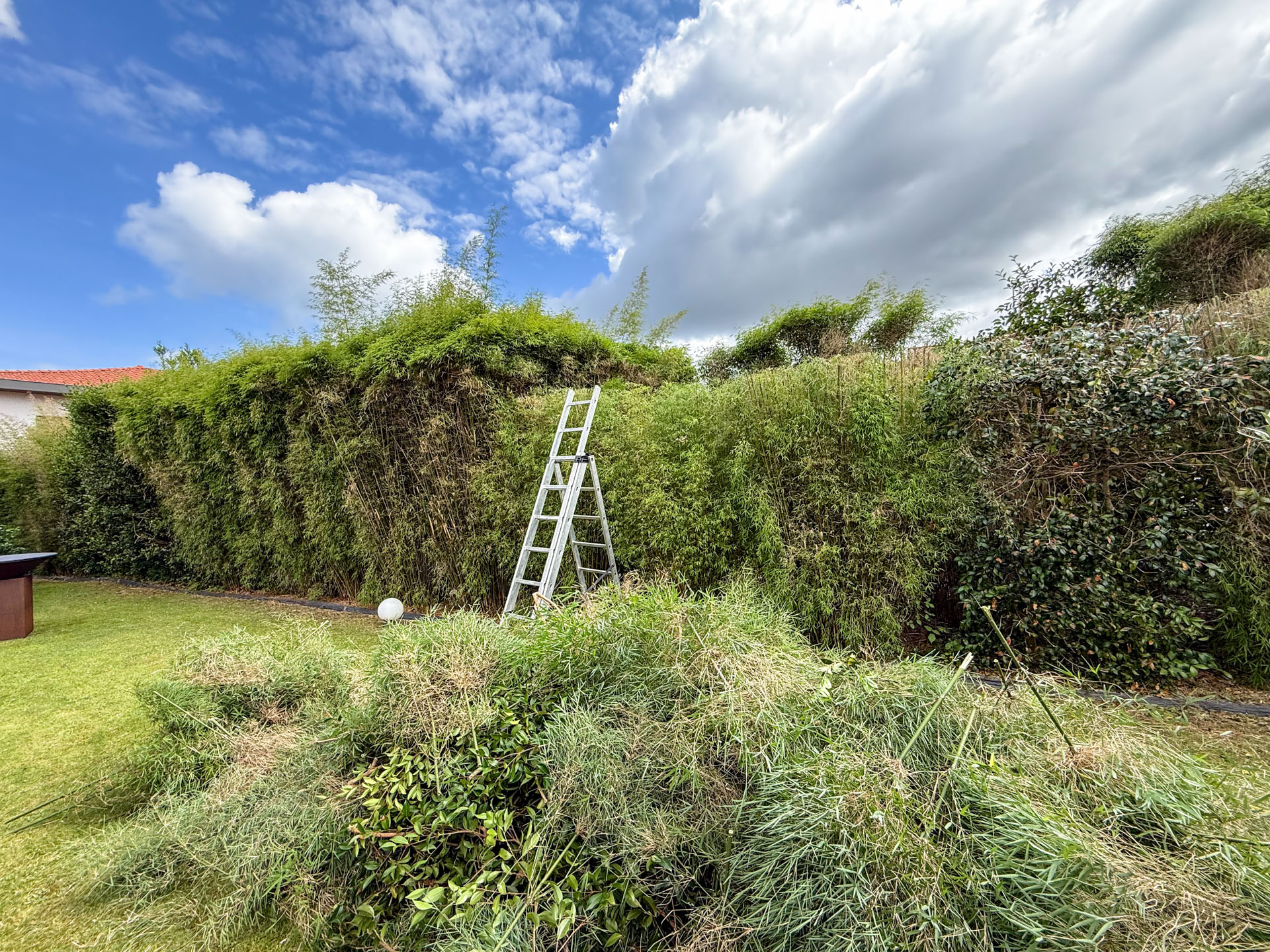 Entretien jardin Tarnos